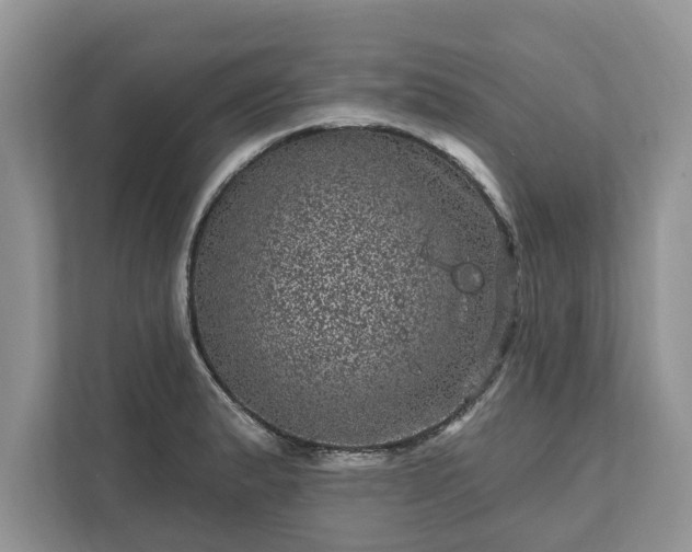 X0000111871183200907301110