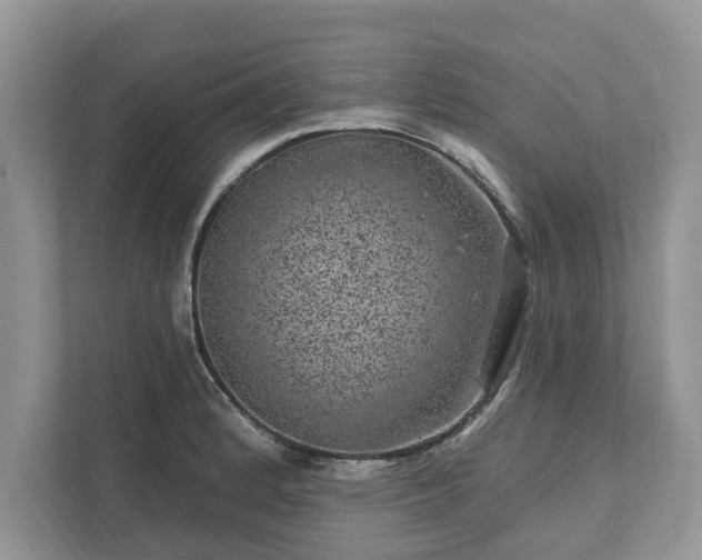 X0000111871184200907301110