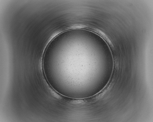 X0000111871186200907301110