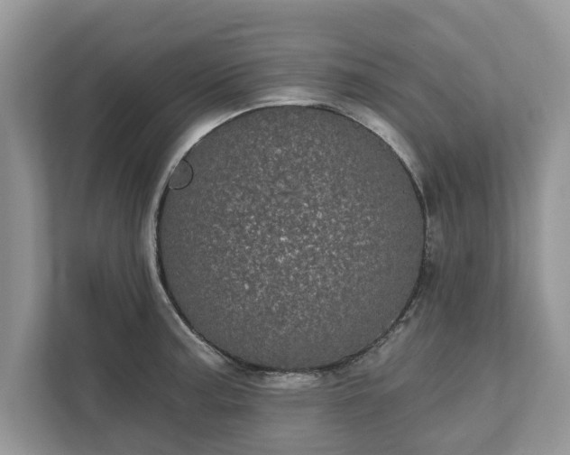 X0000111871187200907301110