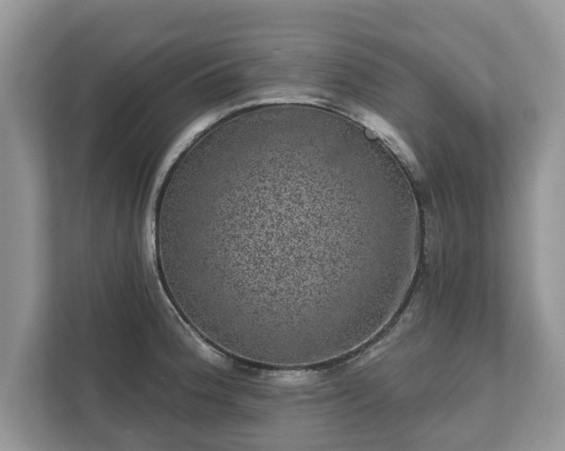 X0000111871188200907301110