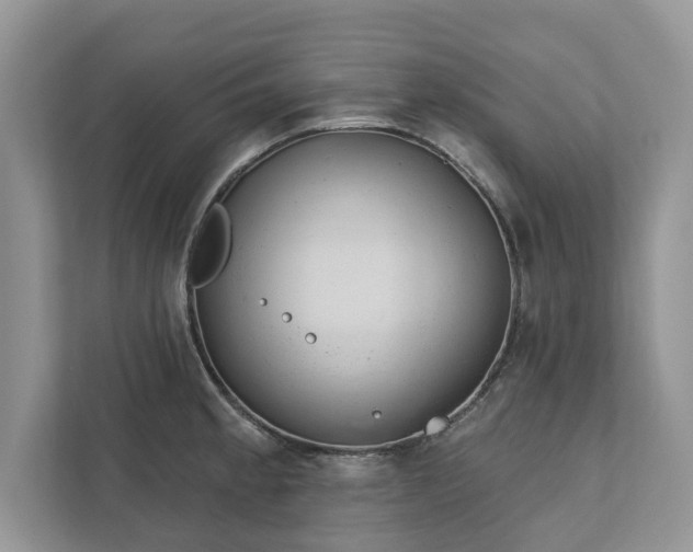 X0000111871189200907301110