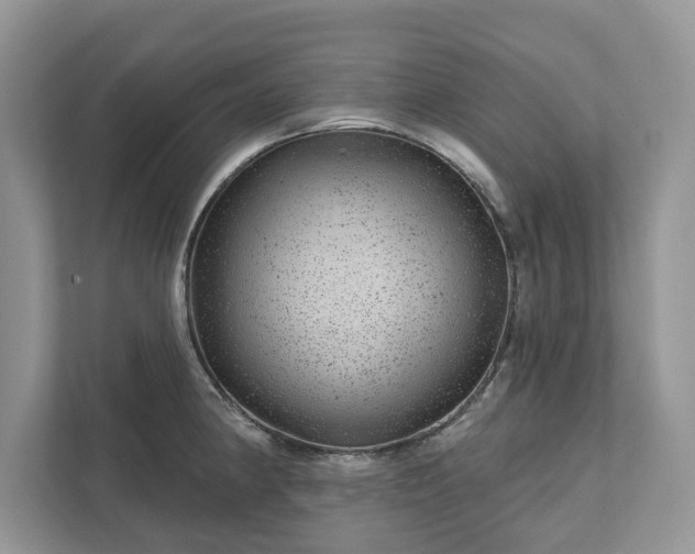 X0000111871190200907301110