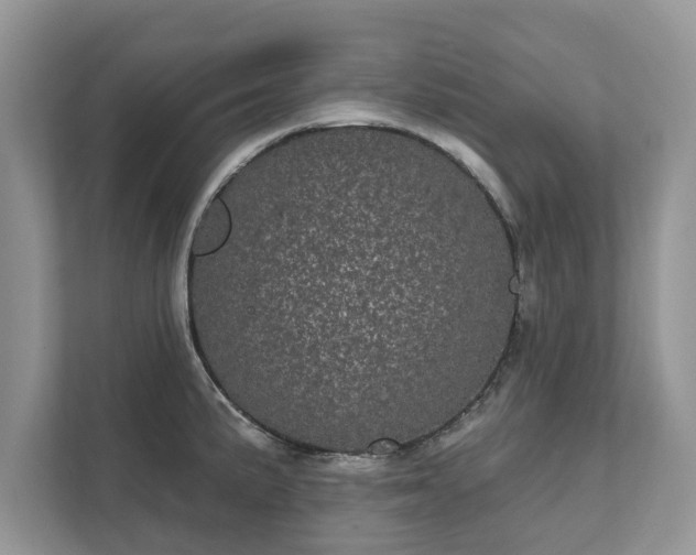 X0000111871191200907301110