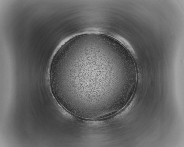 X0000111871192200907301110