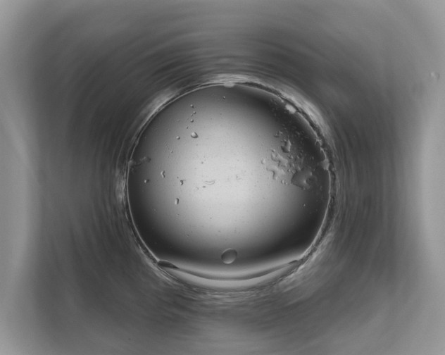 X0000111871193200907301110