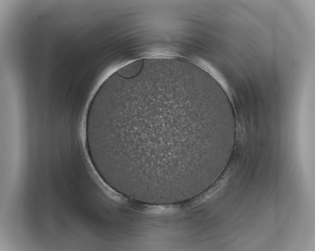 X0000111871195200907301110