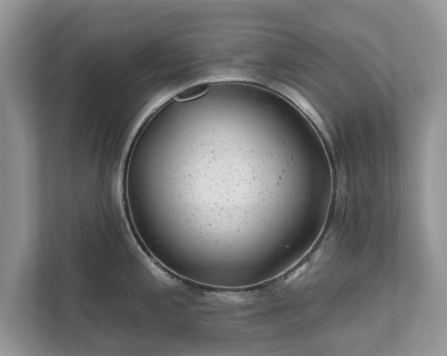 X0000111871197200907301110