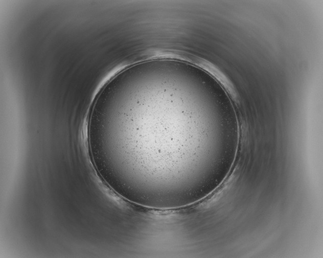 X0000111871198200907301110