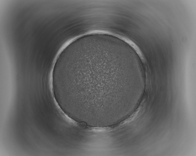 X0000111871199200907301110