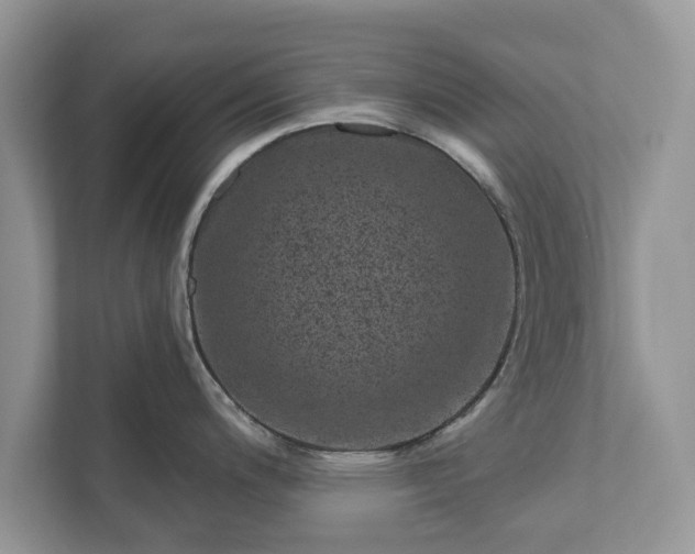 X0000111871200200907301110