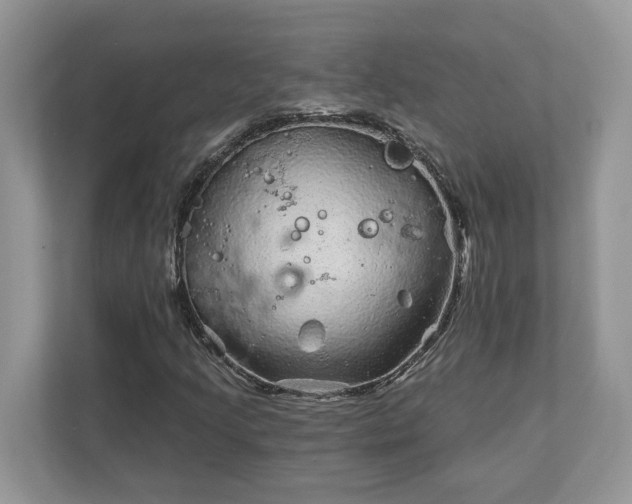 X0000111871205200907301109