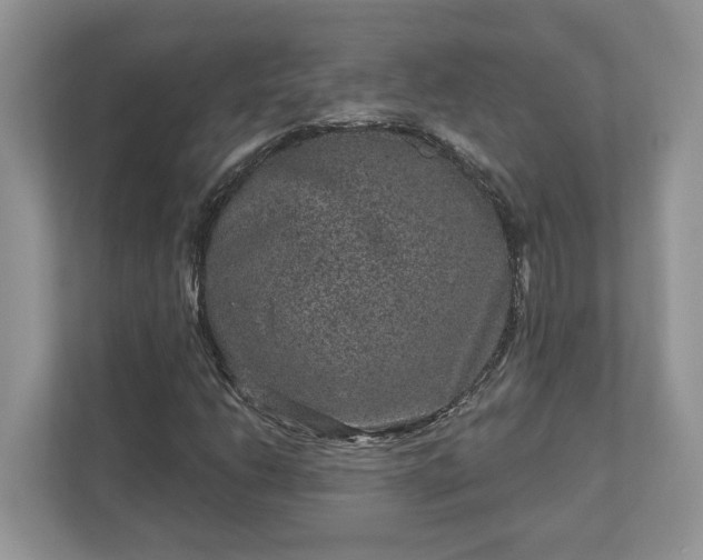 X0000111871206200907301109