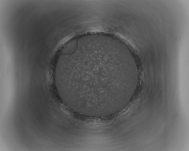 X0000111871207200907301109