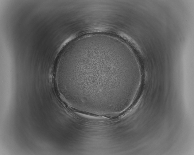 X0000111871210200907301109