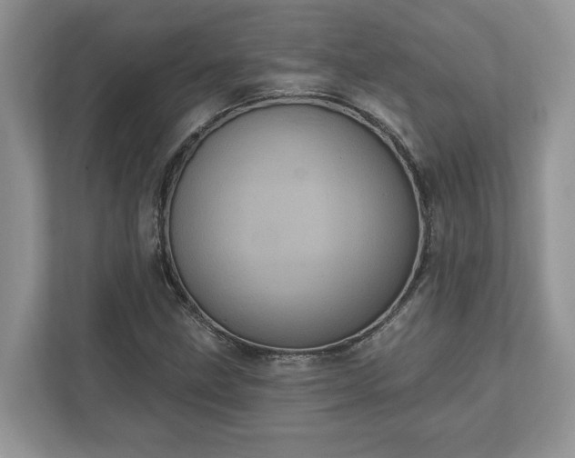 X0000111871211200907301109