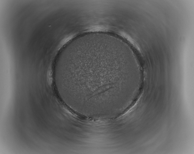 X0000111871213200907301109