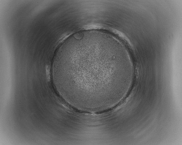 X0000111871217200907301109