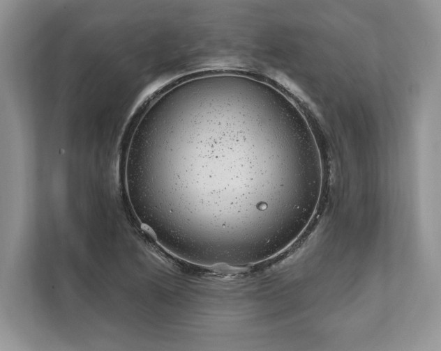 X0000111871222200907301109