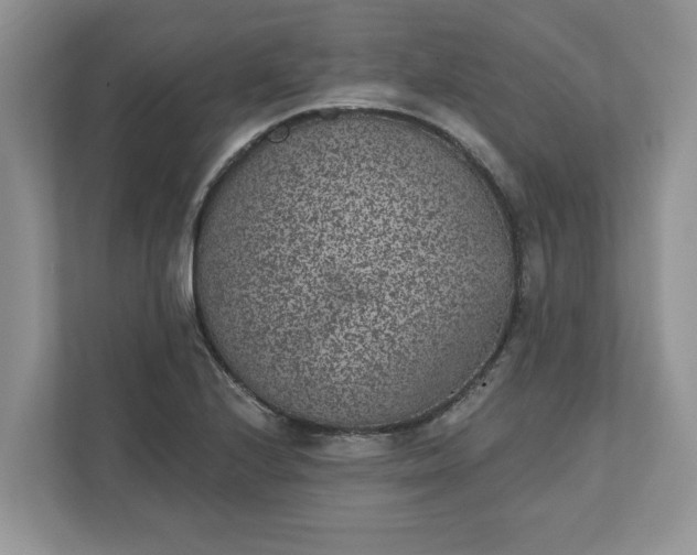 X0000111871224200907301109