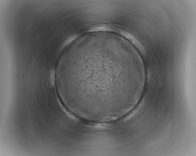 X0000111871233200907301109