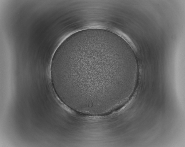 X0000111871236200907301109