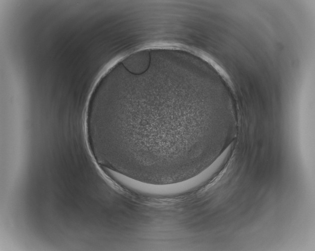 X0000111871237200907301109