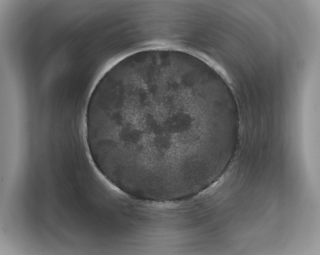 X0000111871239200907301110