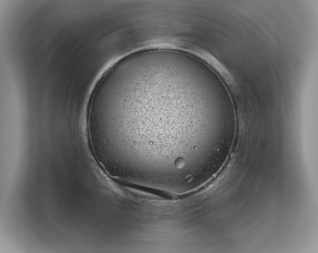 X0000111871240200907301110