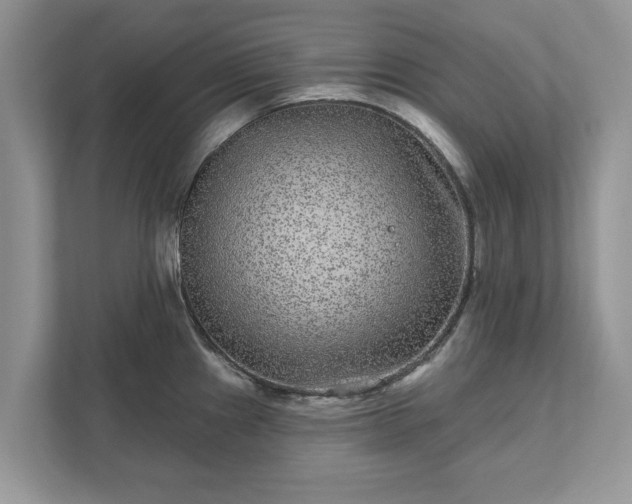 X0000111871241200907301110