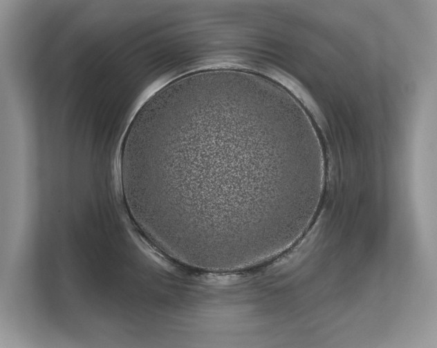 X0000111871242200907301110