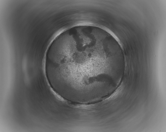 X0000111871245200907301110