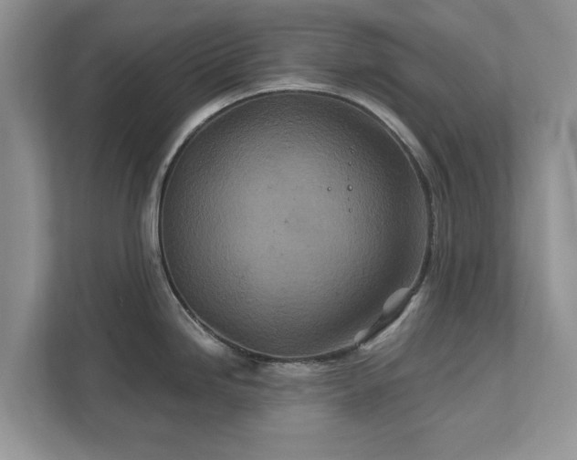 X0000111871246200907301110