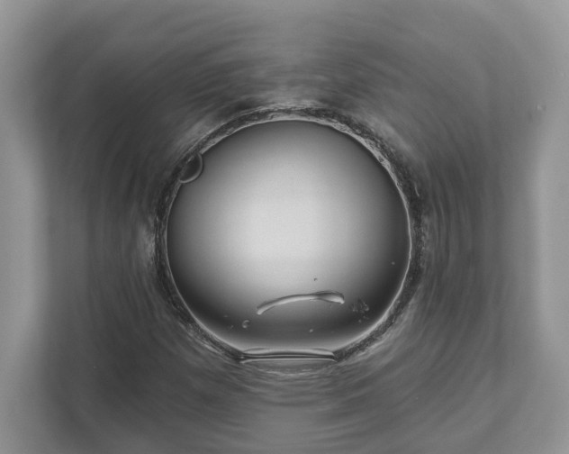 X0000111871257200907301109