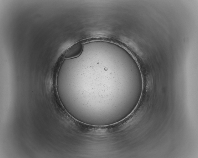 X0000111871261200907301109