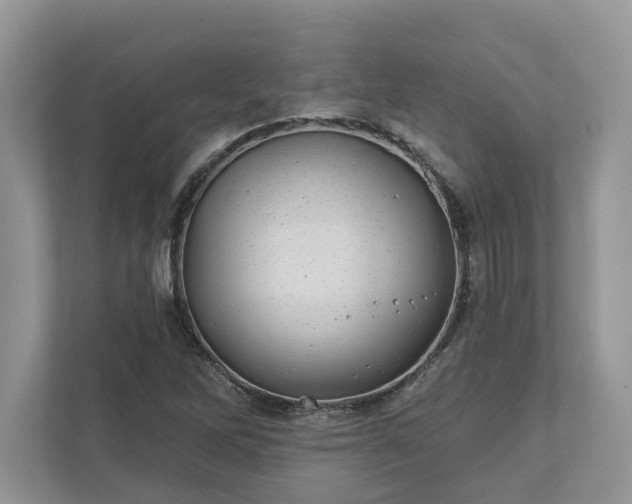 X0000111871262200907301109