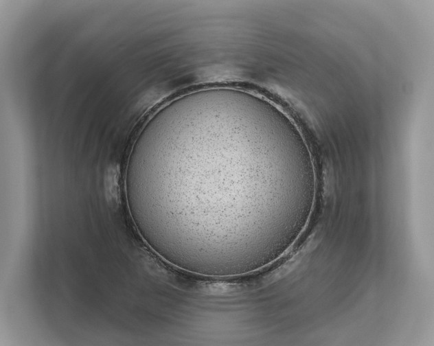 X0000111871265200907301109