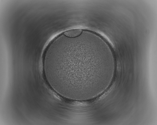 X0000111871270200907301109