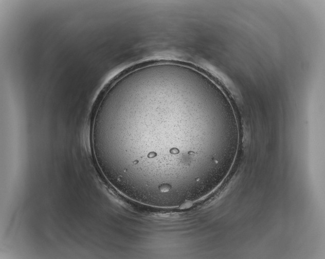 X0000111871272200907301109