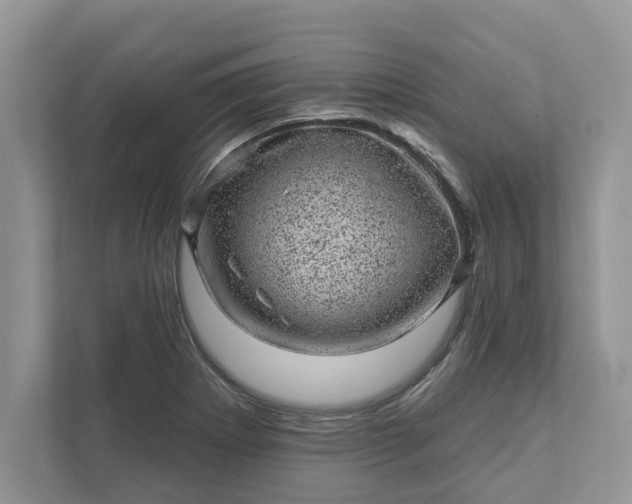 X0000111871273200907301109