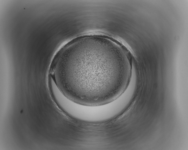 X0000111871277200907301109