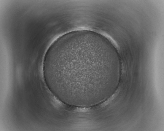 X0000111871278200907301109