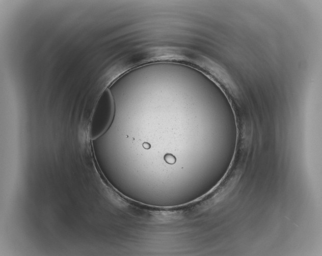 X0000111871281200907301109