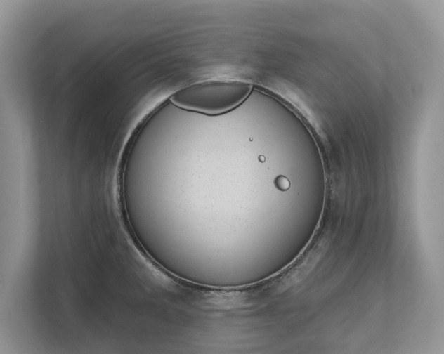 X0000111871285200907301109