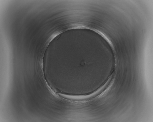 X0000111871289200907301108