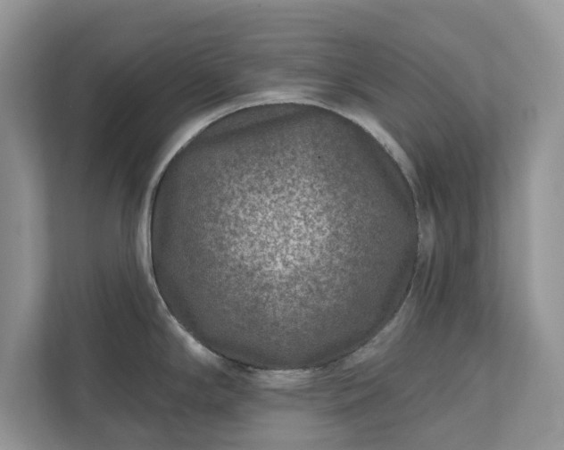 X0000111871294200907301108