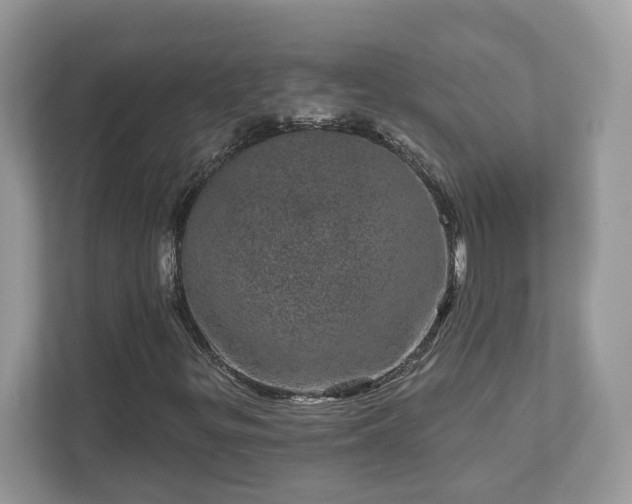 X0000111871299200907301108