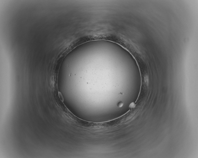 X0000111871300200907301108