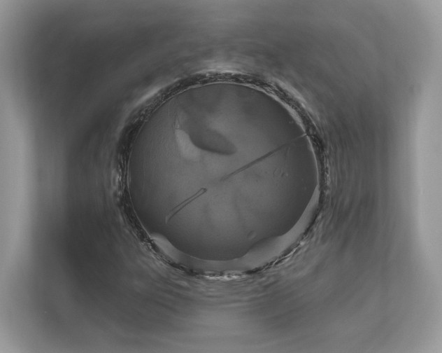 X0000111871303200907301108