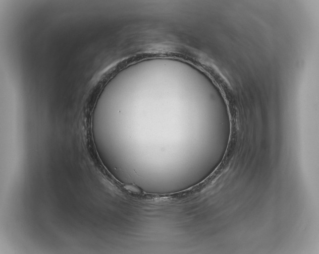 X0000111871304200907301108